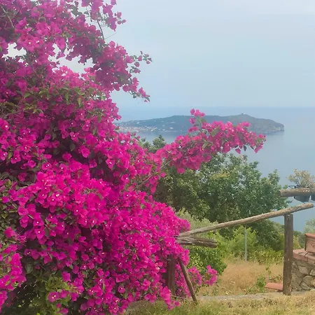 Angolo Di Paradiso Dom wakacyjny Caprioli